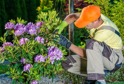 Secure Tree Surgeons Hammersmith payment options with card and digital methods