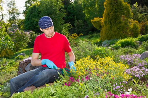 Stump grinding and tree removal service for a residential property in Hammersmith