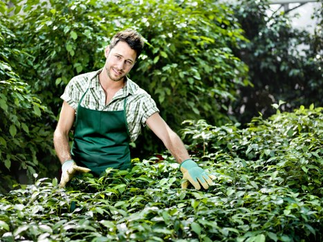 Safe and flexible payment solutions for Tree Surgeons Hammersmith clients