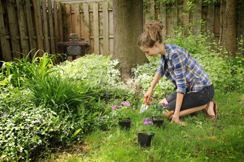 Tree pruning service reducing overgrown branches in West London