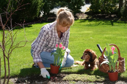 Professional tree care pricing and quote planning in Hammersmith
