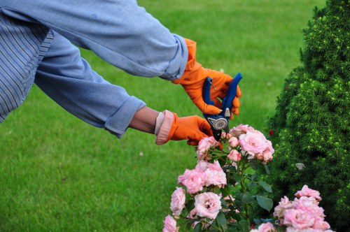 Commitment to ethical tree surgery and fair labour practices